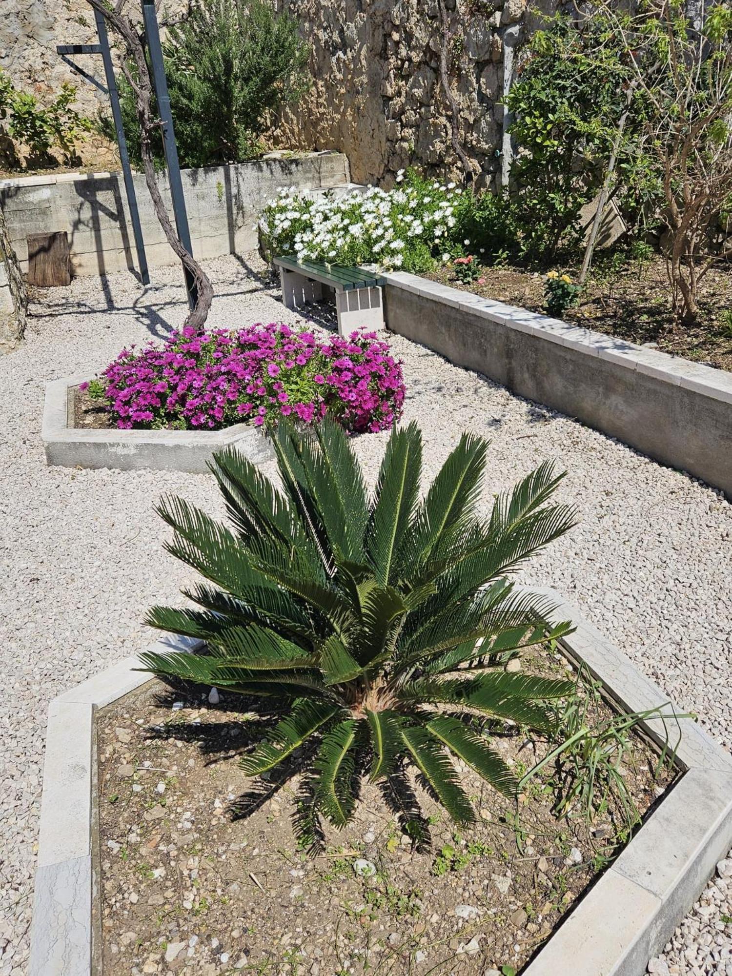 Apartment Marija Close To Old Town Dubrovnik Szoba fotó